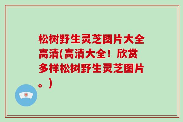 松树野生灵芝图片大全高清(高清大全!欣赏多样松树野生灵芝图片。)