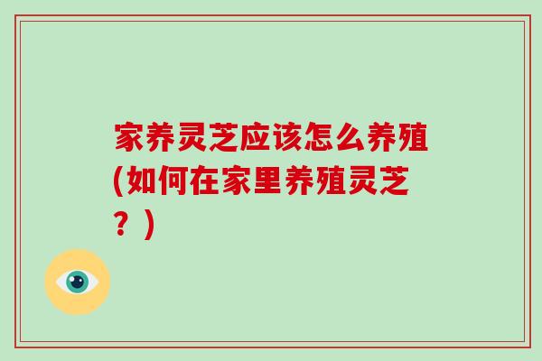 家养灵芝应该怎么养殖(如何在家里养殖灵芝?)