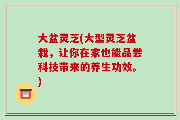 大盆灵芝(大型灵芝盆栽,让你在家也能品尝科技带来的养生功效。)