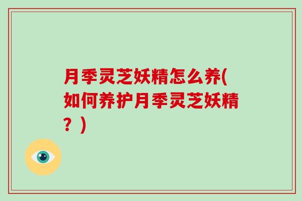 月季灵芝妖精怎么养(如何养护月季灵芝妖精?)