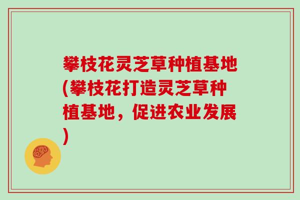 攀枝花灵芝草种植基地(攀枝花打造灵芝草种植基地,促进农业发展)