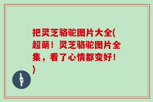 把灵芝骆驼图片大全(超萌！灵芝骆驼图片全集，看了心情都变好！)