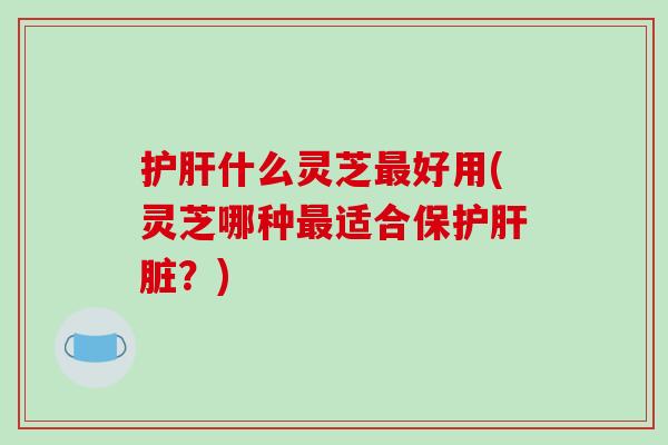 护肝什么灵芝最好用(灵芝哪种最适合保护肝脏？)