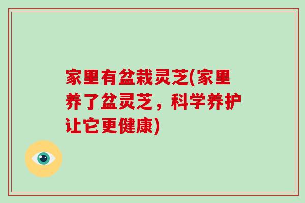 家里有盆栽灵芝(家里养了盆灵芝，科学养护让它更健康)