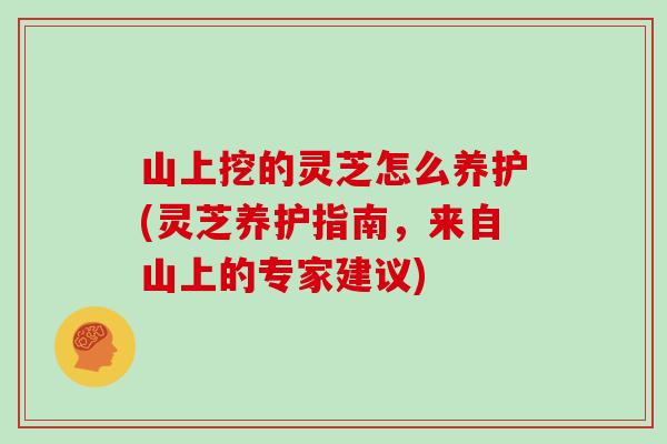 山上挖的灵芝怎么养护(灵芝养护指南,来自山上的专家建议)