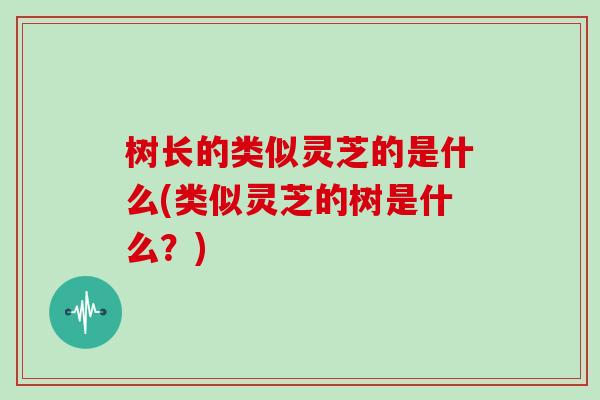 树长的类似灵芝的是什么(类似灵芝的树是什么?)