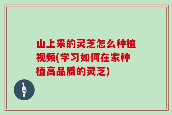 山上采的灵芝怎么种植视频(学习如何在家种植高品质的灵芝)