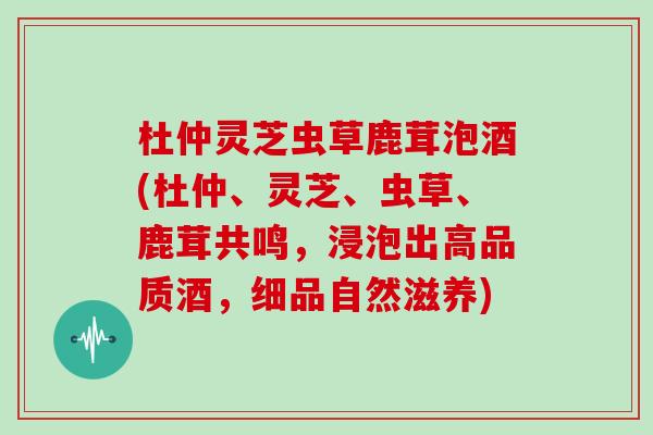 杜仲灵芝虫草鹿茸泡酒(杜仲、灵芝、虫草、鹿茸共鸣,浸泡出高品质酒,细品自然滋养)