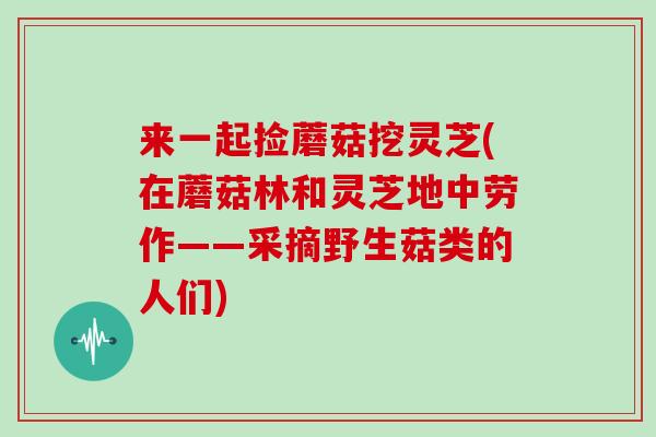来一起捡蘑菇挖灵芝(在蘑菇林和灵芝地中劳作——采摘野生菇类的人们)