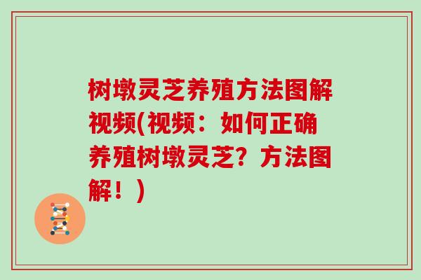 树墩灵芝养殖方法图解视频(视频:如何正确养殖树墩灵芝?方法图解!)