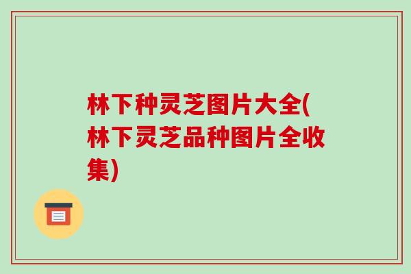 林下种灵芝图片大全(林下灵芝品种图片全收集)