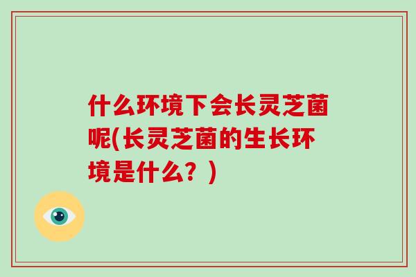 什么环境下会长灵芝菌呢(长灵芝菌的生长环境是什么?)