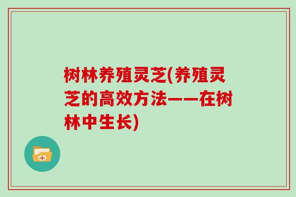 树林养殖灵芝(养殖灵芝的高效方法——在树林中生长)