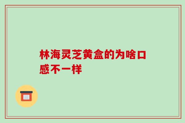 林海灵芝黄盒的为啥口感不一样