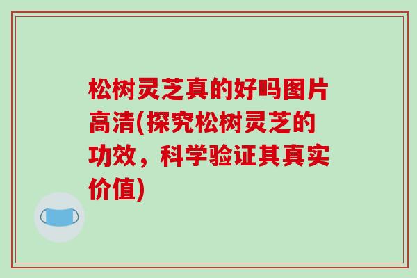松树灵芝真的好吗图片高清(探究松树灵芝的功效,科学验证其真实价值)