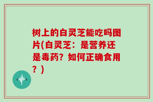 树上的白灵芝能吃吗图片(白灵芝:是营养还是毒药?如何正确食用?)