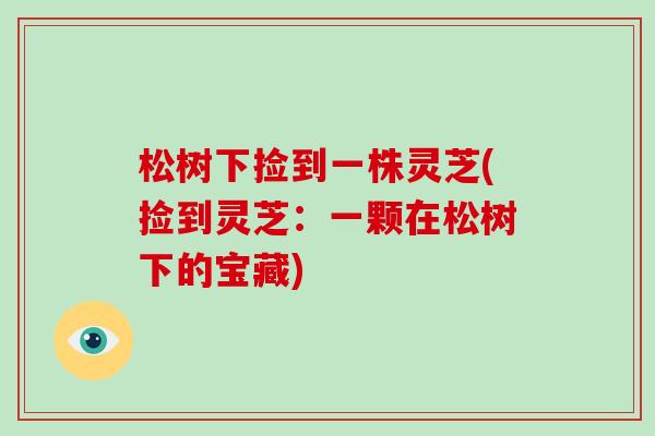 松树下捡到一株灵芝(捡到灵芝：一颗在松树下的宝藏)