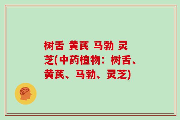 树舌 黄芪 马勃 灵芝(中药植物:树舌、黄芪、马勃、灵芝)