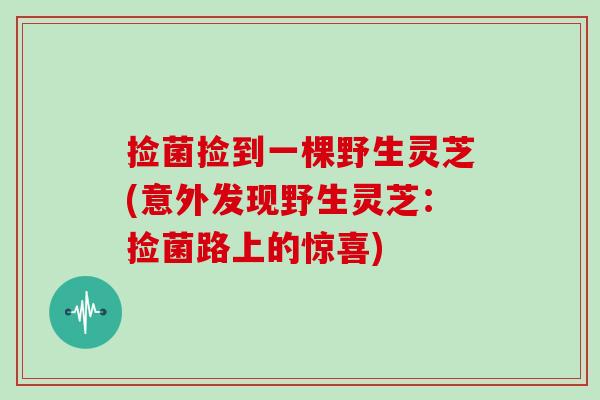 捡菌捡到一棵野生灵芝(意外发现野生灵芝:捡菌路上的惊喜)