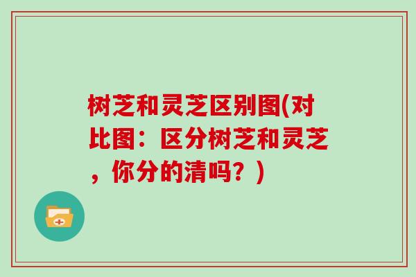 树芝和灵芝区别图(对比图:区分树芝和灵芝,你分的清吗?)