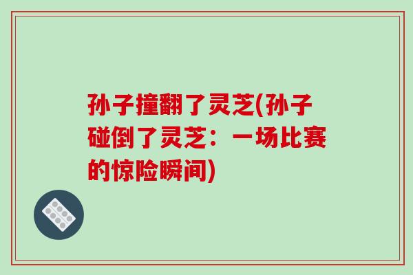 孙子撞翻了灵芝(孙子碰倒了灵芝：一场比赛的惊险瞬间)