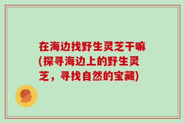 在海边找野生灵芝干嘛(探寻海边上的野生灵芝,寻找自然的宝藏)