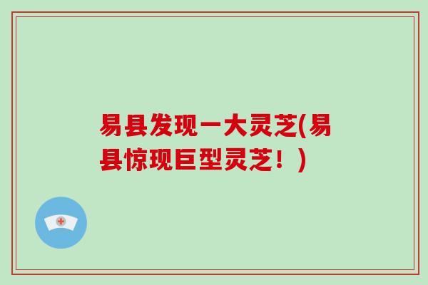 易县发现一大灵芝(易县惊现巨型灵芝！)