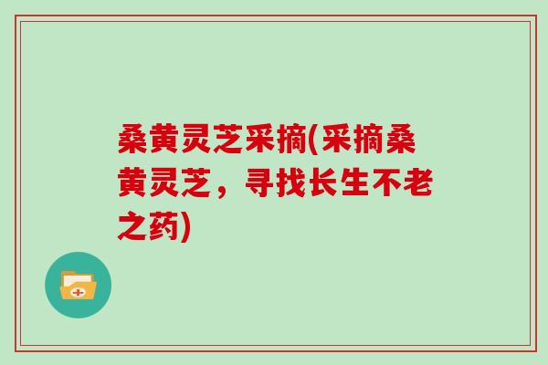 桑黄灵芝采摘(采摘桑黄灵芝,寻找长生不老之药)