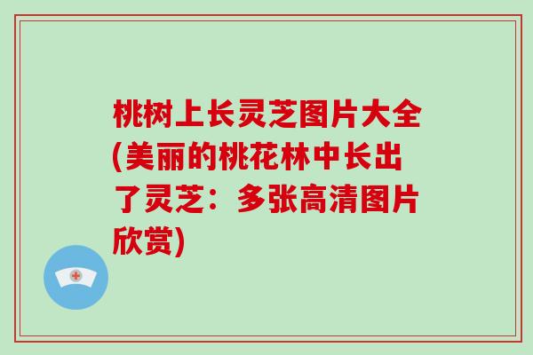 桃树上长灵芝图片大全(美丽的桃花林中长出了灵芝:多张高清图片欣赏)
