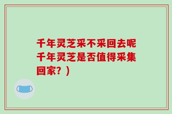 千年灵芝采不采回去呢千年灵芝是否值得采集回家?)