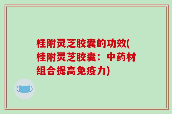 桂附灵芝胶囊的功效(桂附灵芝胶囊：中药材组合提高免疫力)