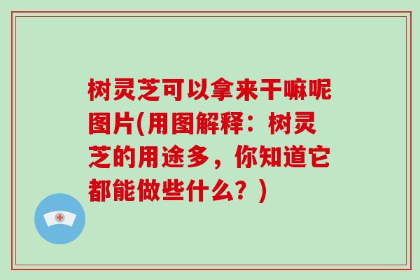 树灵芝可以拿来干嘛呢图片(用图解释:树灵芝的用途多,你知道它都能做些什么?)