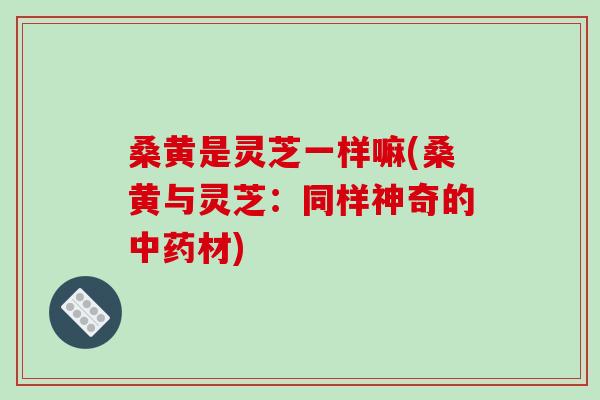 桑黄是灵芝一样嘛(桑黄与灵芝:同样神奇的中药材)