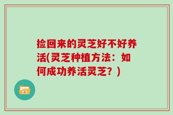 捡回来的灵芝好不好养活(灵芝种植方法:如何成功养活灵芝?)