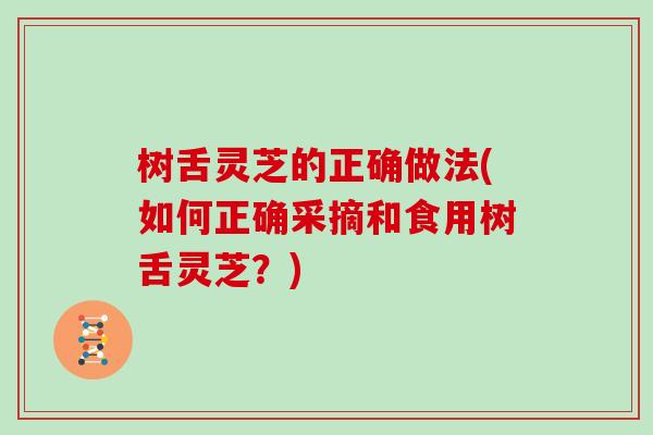 树舌灵芝的正确做法(如何正确采摘和食用树舌灵芝?)