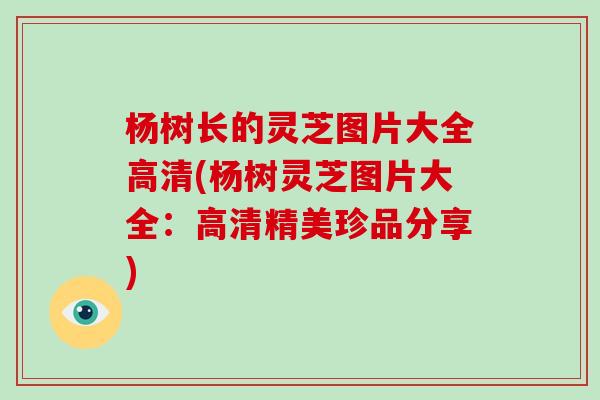 杨树长的灵芝图片大全高清(杨树灵芝图片大全:高清精美珍品分享)