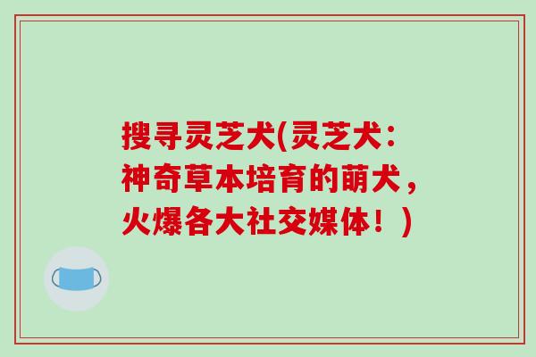 搜寻灵芝犬(灵芝犬:神奇草本培育的萌犬,火爆各大社交媒体!)