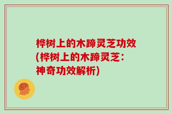 桦树上的木蹄灵芝功效(桦树上的木蹄灵芝:神奇功效解析)