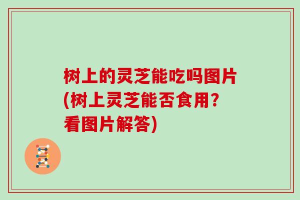 树上的灵芝能吃吗图片(树上灵芝能否食用?看图片解答)