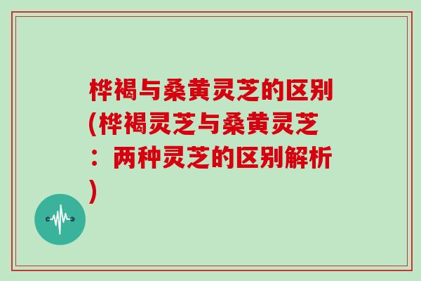 桦褐与桑黄灵芝的区别(桦褐灵芝与桑黄灵芝：两种灵芝的区别解析)