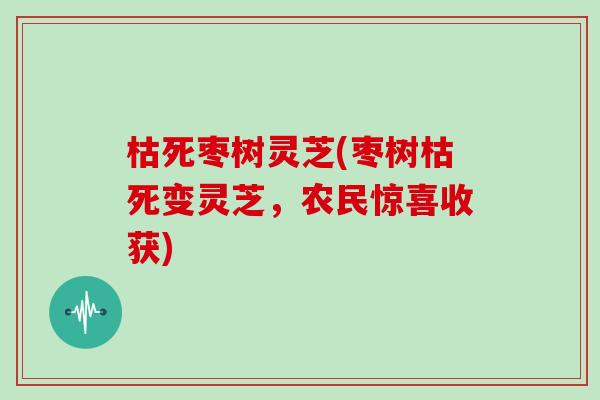 枯死枣树灵芝(枣树枯死变灵芝,农民惊喜收获)