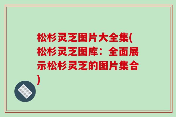 松杉灵芝图片大全集(松杉灵芝图库:全面展示松杉灵芝的图片集合)
