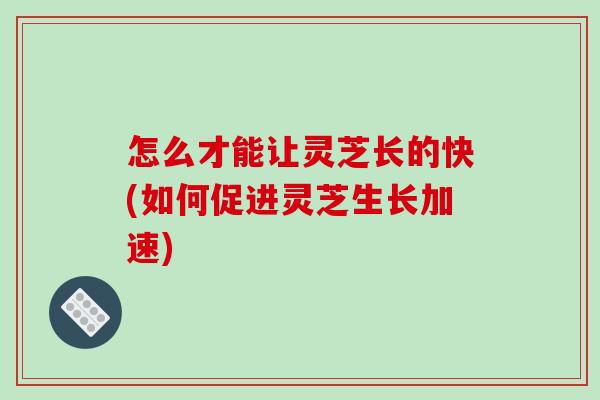怎么才能让灵芝长的快(如何促进灵芝生长加速)