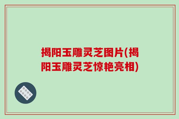揭阳玉雕灵芝图片(揭阳玉雕灵芝惊艳亮相)