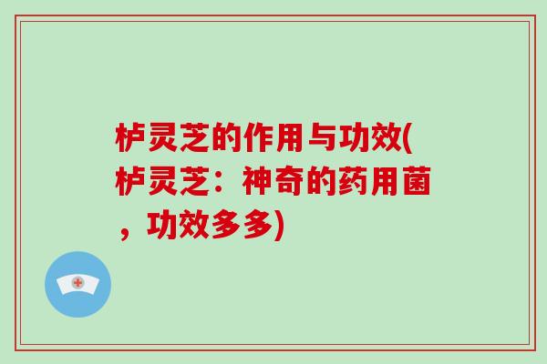 栌灵芝的作用与功效(栌灵芝:神奇的药用菌,功效多多)