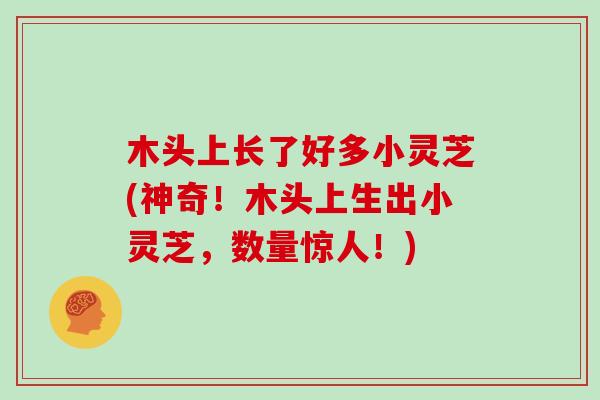 木头上长了好多小灵芝(神奇！木头上生出小灵芝，数量惊人！)
