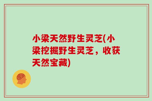 小梁天然野生灵芝(小梁挖掘野生灵芝,收获天然宝藏)