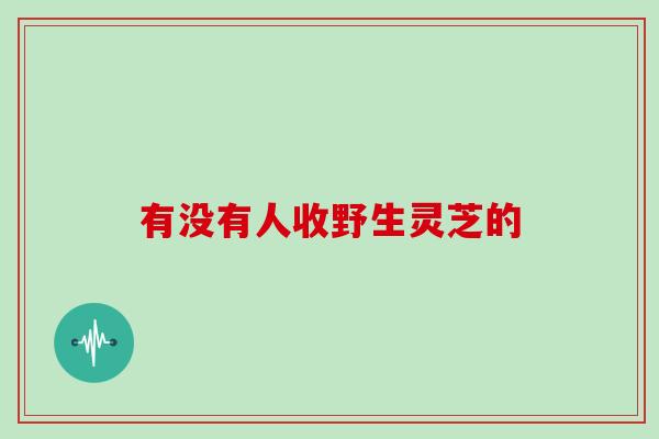 有没有人收野生灵芝的