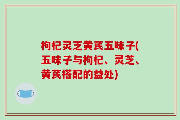枸杞灵芝黄芪五味子(五味子与枸杞、灵芝、黄芪搭配的益处)