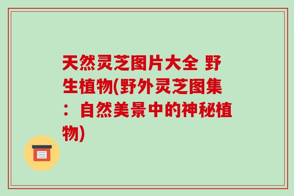 天然灵芝图片大全 野生植物(野外灵芝图集:自然美景中的神秘植物)